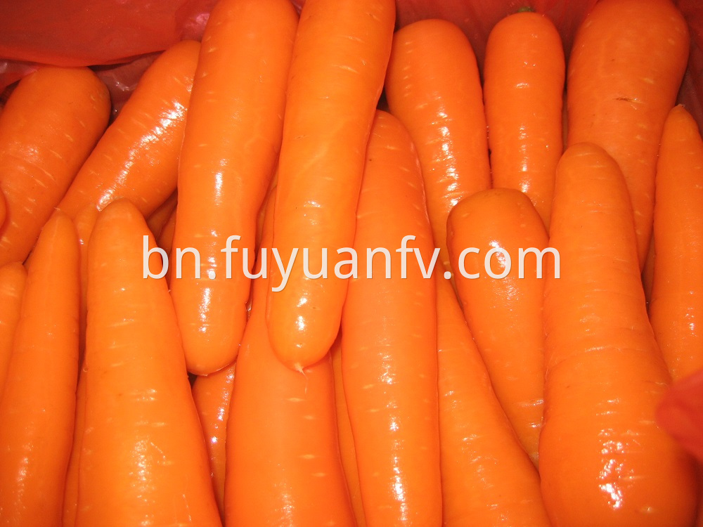 fresh carrot